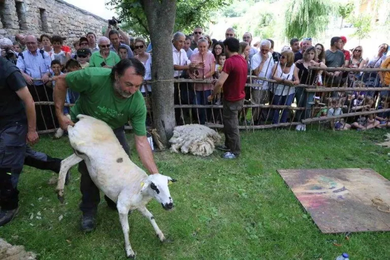 La tradicional Xollada d'Ovelles de Sort celebra el trentè aniversari
