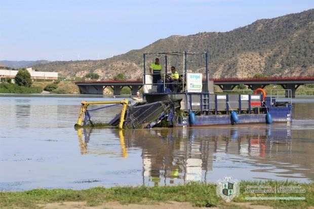 Retiren les algues del Segre al curs de regates de Mequinensa