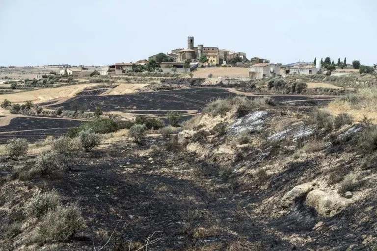 Els Bombers donen per extingit l'incendi forestal de la Ribera d'Ebre