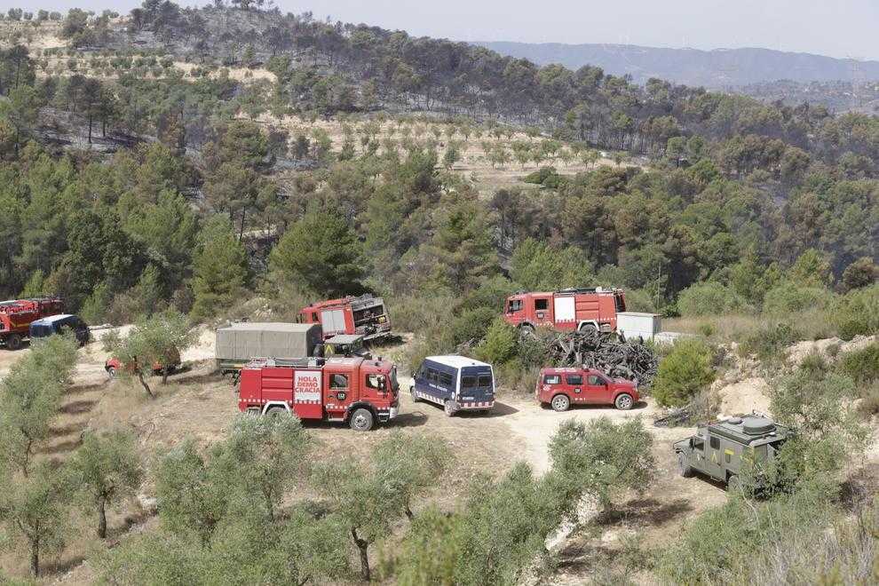 La Generalitat prohibeix la sega 48 hores per “risc extrem”