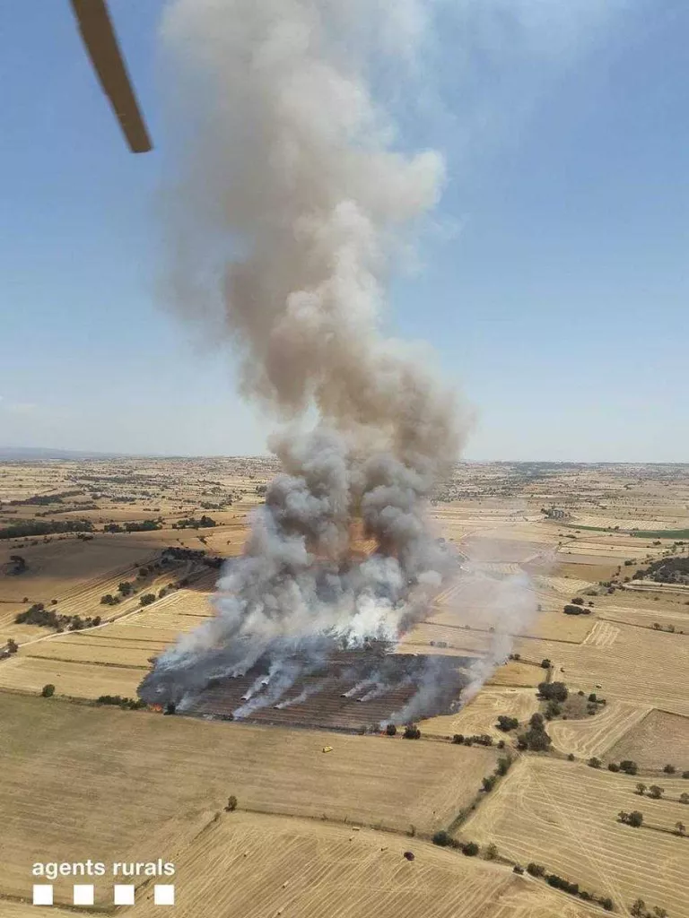 Alarma per dos nous focs, que arrasen 70 hectàrees a la Segarra