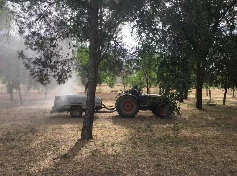 Una plaga de mosquits obliga Fraga a fumigar espais públics