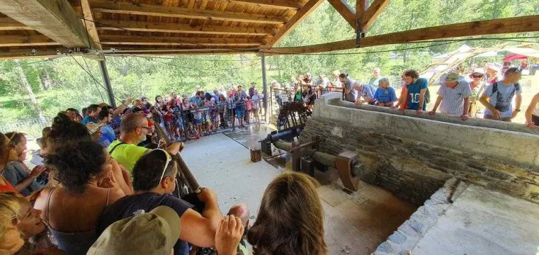 La fira anual del ferro d’Alins reuneix un centenar de forjadors