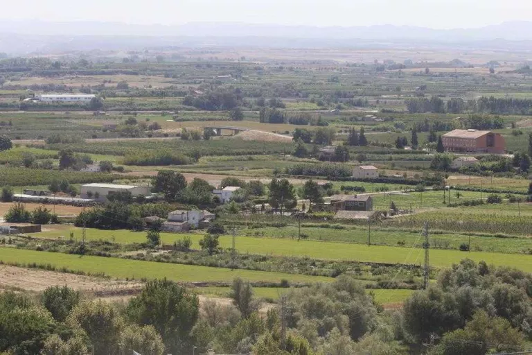 Denuncien el veí pel soroll que prové dels espantaocells acústics