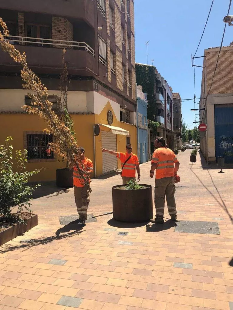 Operaris retirant arbres morts al carrer del Riu.
