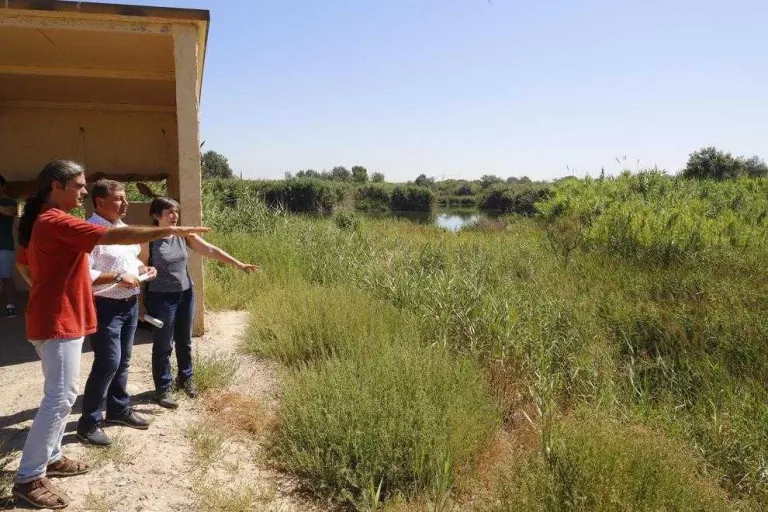 La Paeria destinarà finques de Rufea amb 55 ha a pastura per a ovelles