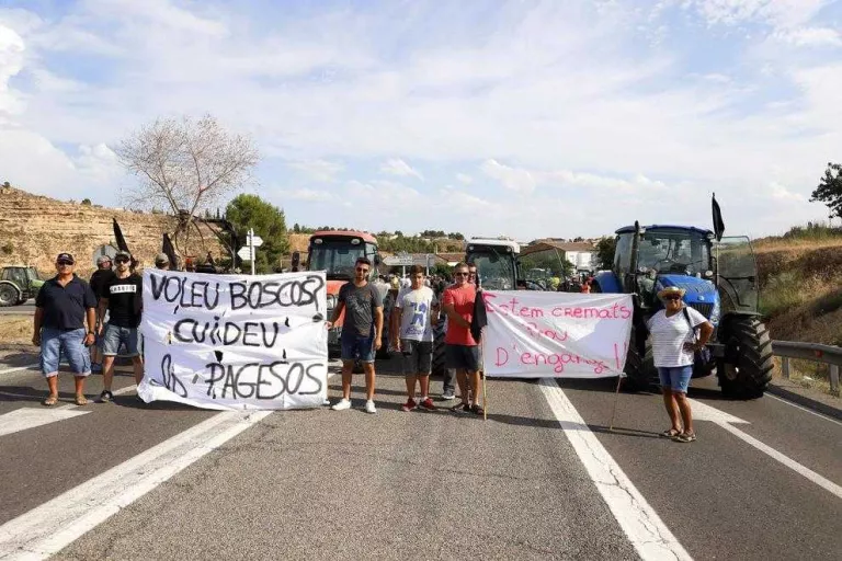Agricultura paga 492.000 euros en ajuts als afectats per l'incendi de la Ribera d'Ebre, les Garrigues i el Segrià