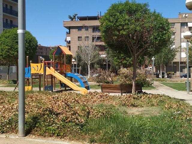 Imatge de la vegetació seca a la plaça Clara de Campoamor.