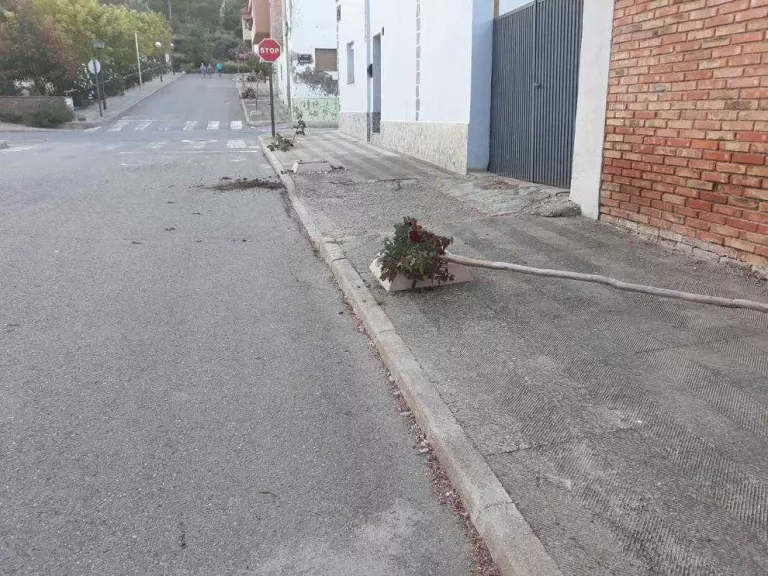 Vandalisme contra arbres, mobiliari urbà i cotxes a les festes de Sucs
