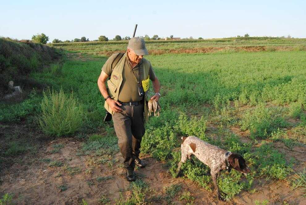 Queixes dels caçadors a l’iniciar la mitja veda una setmana més tard