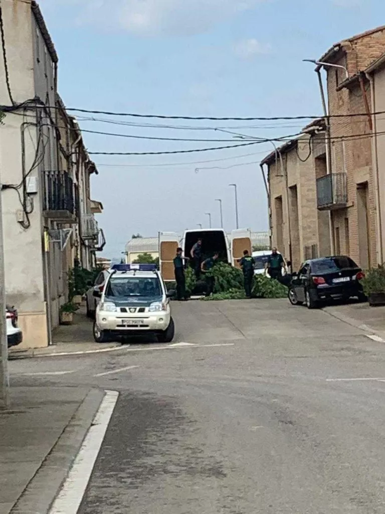 Cops policials contra el tràfic de marihuana a Bellvís i Alcarràs