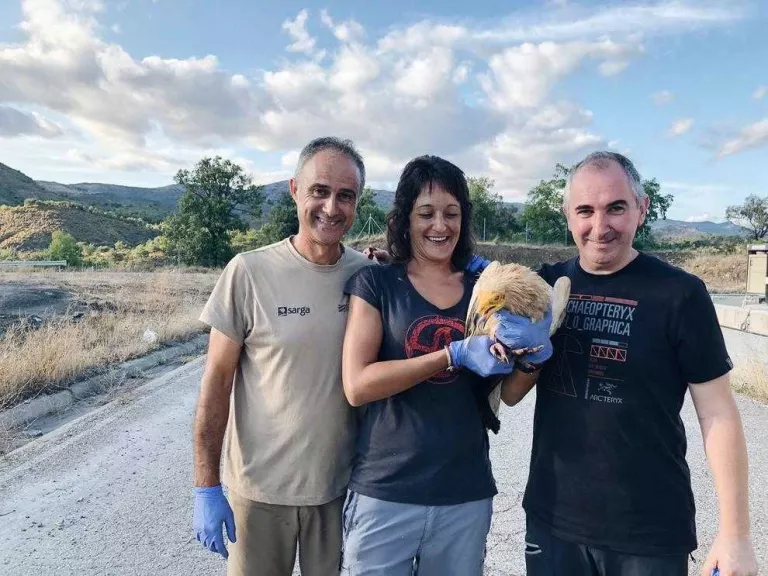 Imatge de tres tècnics amb un exemplar d’aufrany que es va capturar a l’abocador de Fígols.