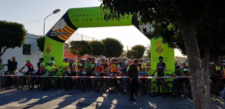 Èxit de participació en la desena Terra d’Oliveres