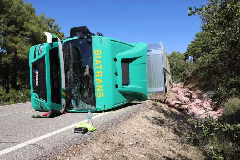 Tallen més de 8 hores la C-1412b a la Baronia de Rialb al bolcar un tràiler