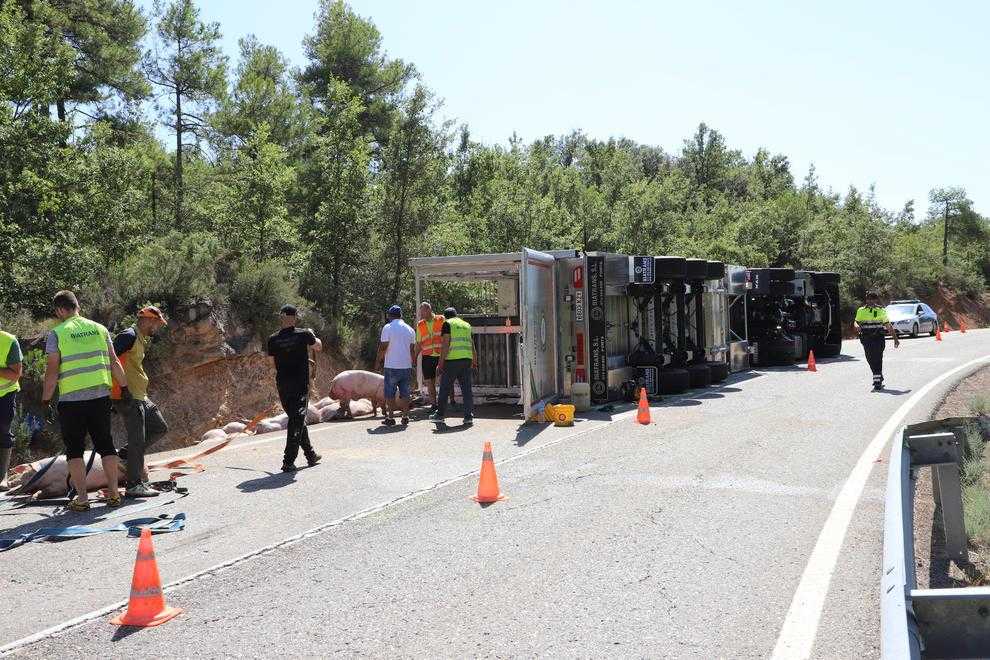Tallen més de 8 hores la C-1412b a la Baronia de Rialb al bolcar un tràiler