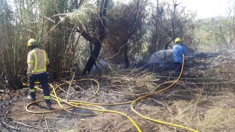Sufoquen incendis de canyes al Secà i l'avinguda de l'Exèrcit