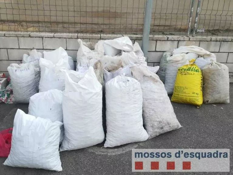 Decomissen més de 1.500 quilos d’ametlles robades
