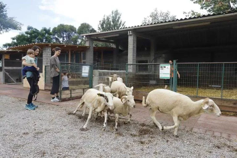 Diversió familiar a La Manreana Parc