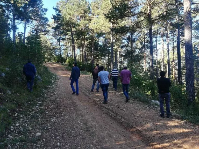 Imatge de la visita ahir a boscos de la Vansa i Tuixent.