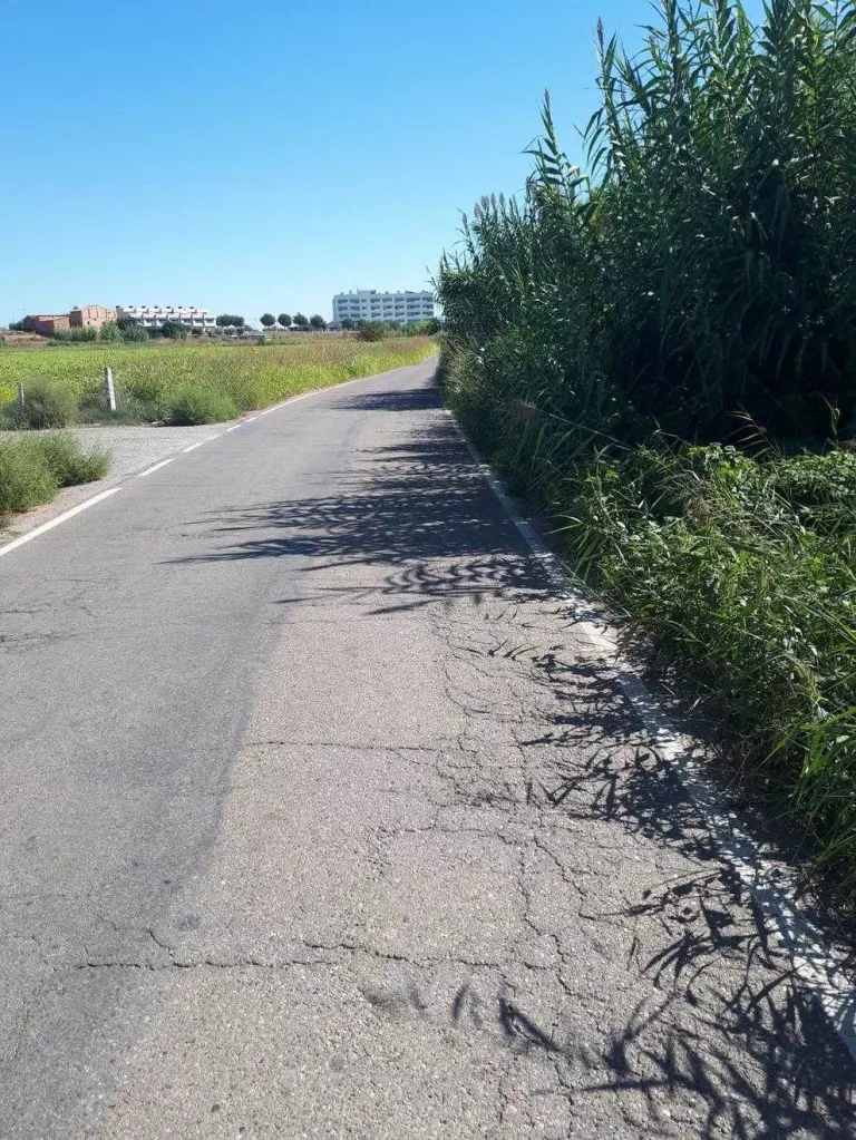 L’Horta demana mantenir els camins regularment
