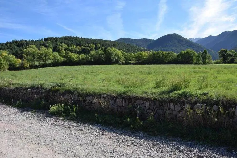 Bellver tindrà el primer centre de rehabilitació de cavalls del Pirineu