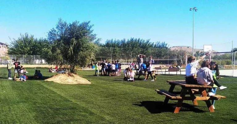 Alpicat reutilitza la gespa retirada del camp de futbol