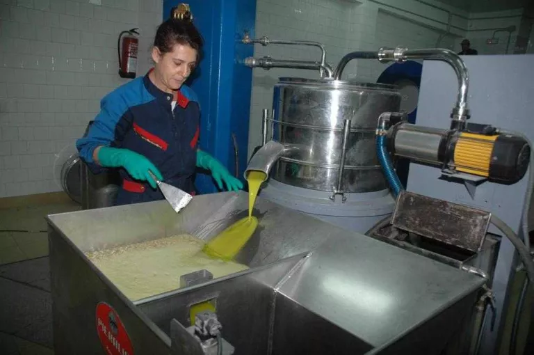 El cost de fer una truita de patates es multiplica per set