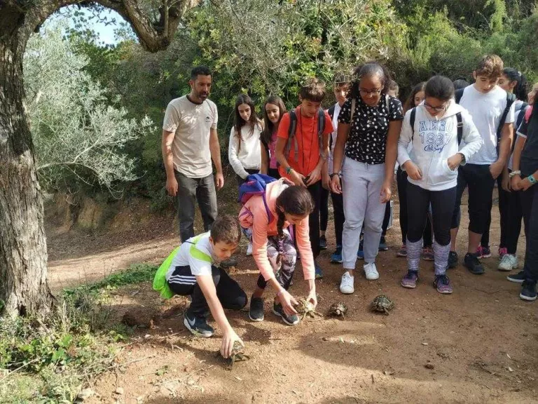 Alliberen 30 tortugues a la Vall Major de Bovera