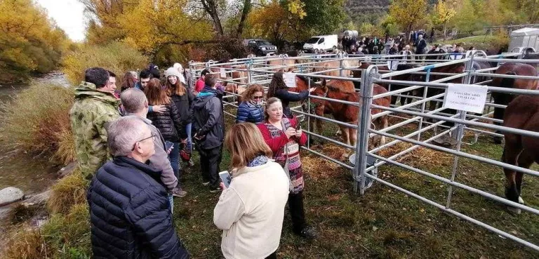 La Diputació exigeix una solució a la crisi del resort de Boí Taüll