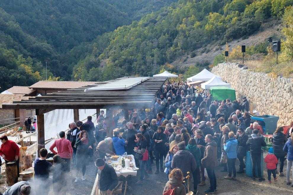 Maials i les Borges venen el seu oli