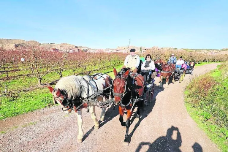 El paisatge tardoral d’Aitona atreu uns set-cents visitants
