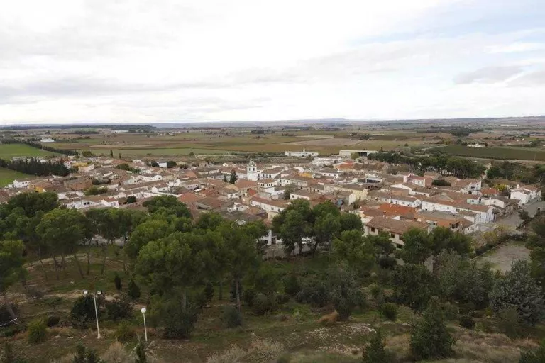 Cultius il·legals en almenys 10 zones naturals de Sucs