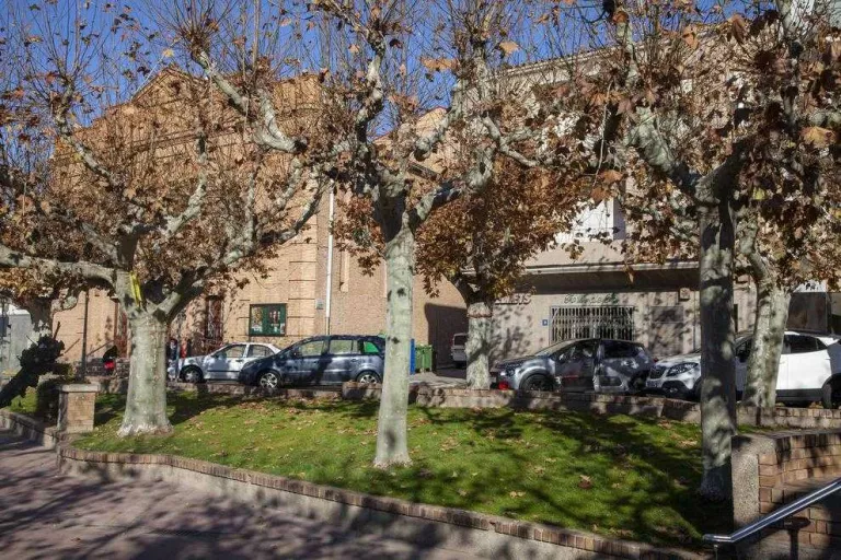 Bellpuig aposta per la poda ecològica