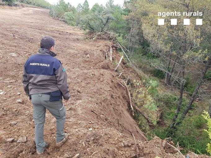 Denunciat per una tala il·legal d'arbres al Pallars Jussà