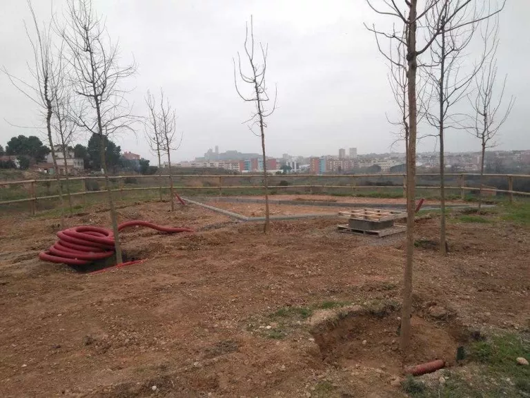 Nous arbres per als miradors del Secà de Sant Pere