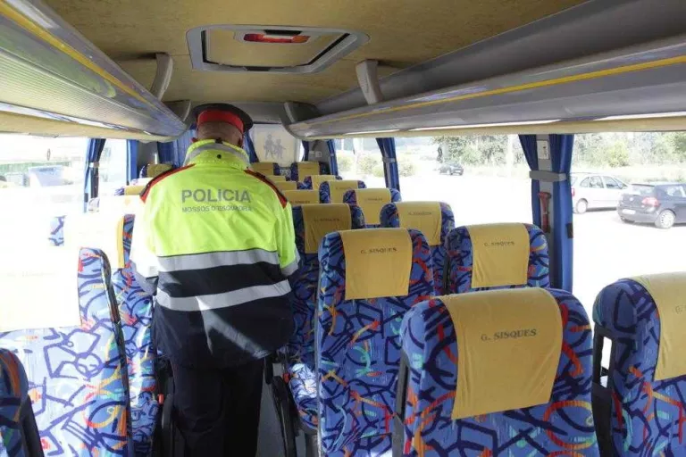 El síndic demana cinturons amb 3 punts de subjecció en el transport escolar