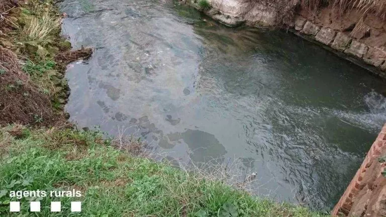 Atribueixen a un “error” l'abocament a Linyola, que es va reparar amb urgència
