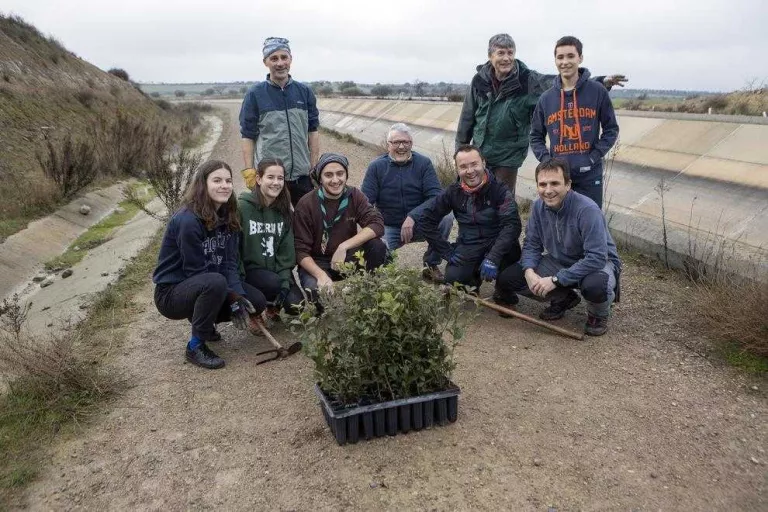 Reforesten dotze hectàrees per recuperar fauna i flora