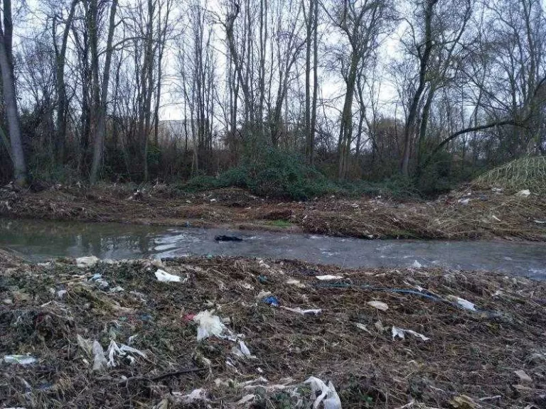 Denuncien la concentració de brossa als marges del Segre a Lleida