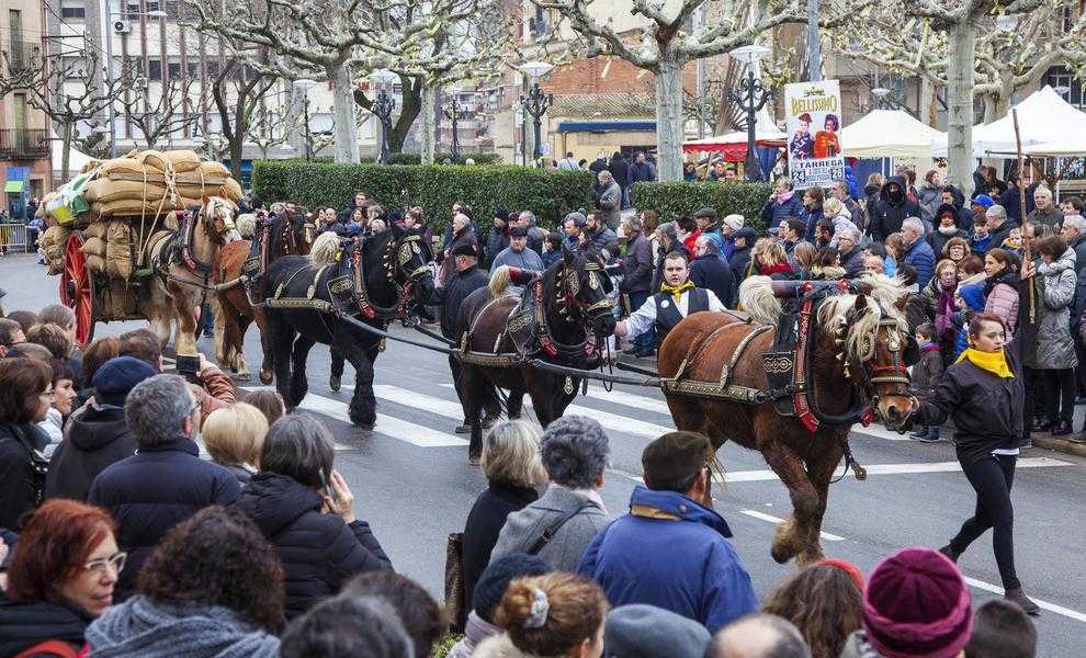 Tres Tombs per la dona rural