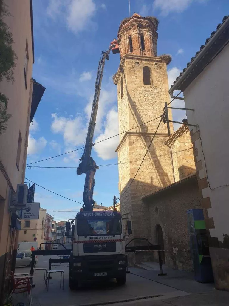 Redueixen la mida dels nius de cigonya de la Granja d’Escarp
