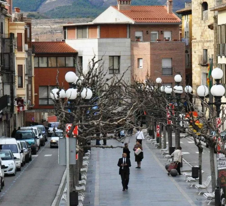 Detingut un veí de Fraga per apunyalar la seua mare de 71 anys