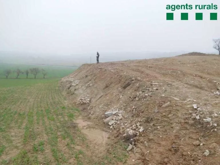 Denúncia a Artesa de Segre per una tala forestal sense autorització