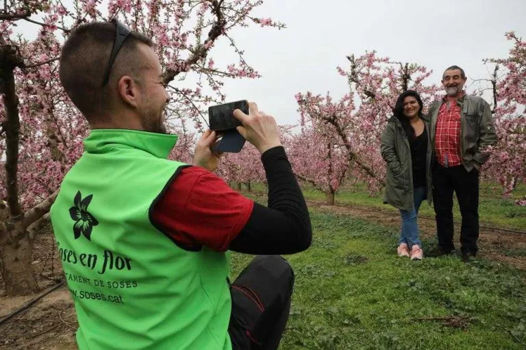 Els turistes arriben als camps en flor de Soses i la Granja d’Escarp
