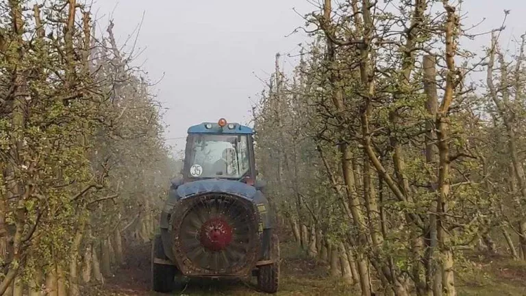 Alerta per la campanya de fruita
