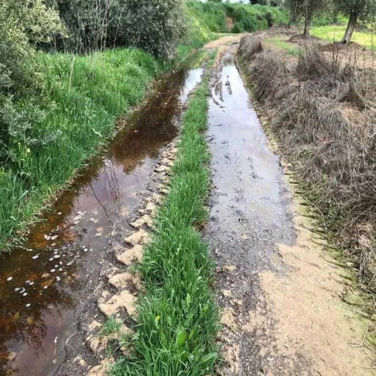 L’abocament ha anat a parar a un camí, segons Ipcena.