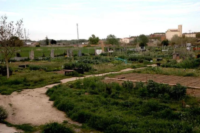 Fi de la prohibició d'anar als horts per a autoproveïment