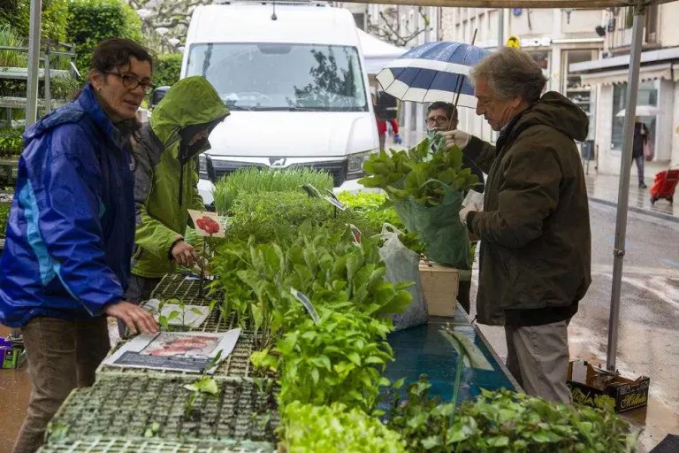 Agramunt obre el mercat per a alimentació i horticultura