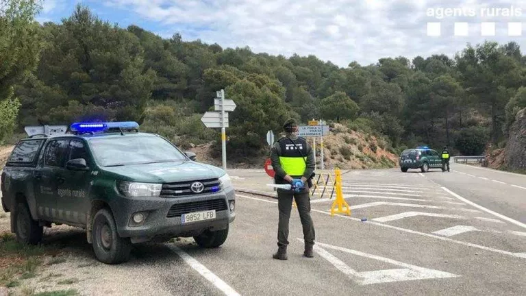 Els Agents Rurals incrementen la vigilància per detectar boletaires