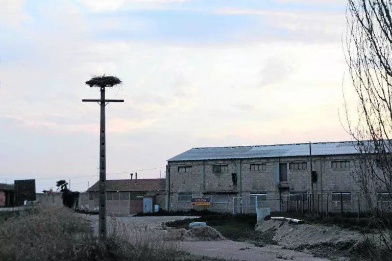 Retiren fins a disset nius de cigonyes d’edificis